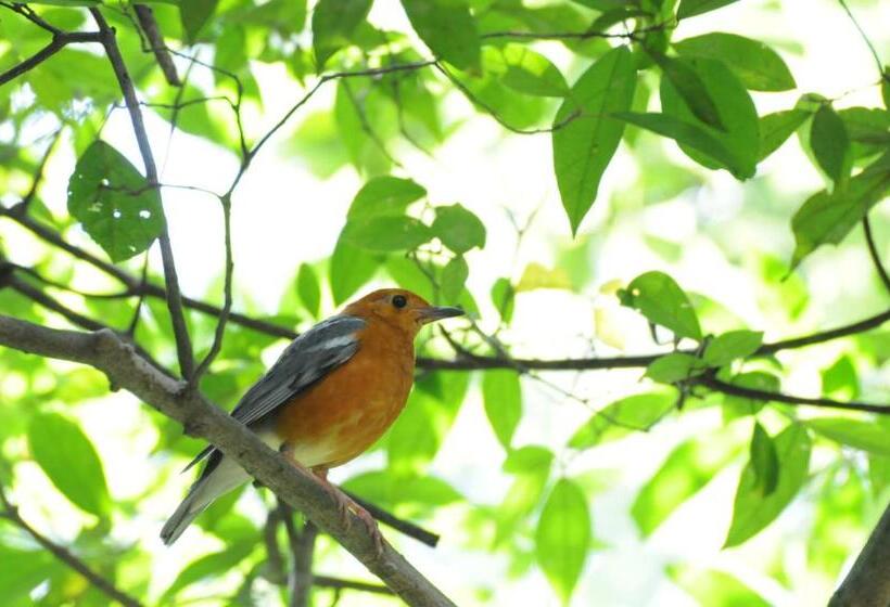 ガーデンビューの１ベッドルームビラ, Back Of Beyond   Wellness Retreat