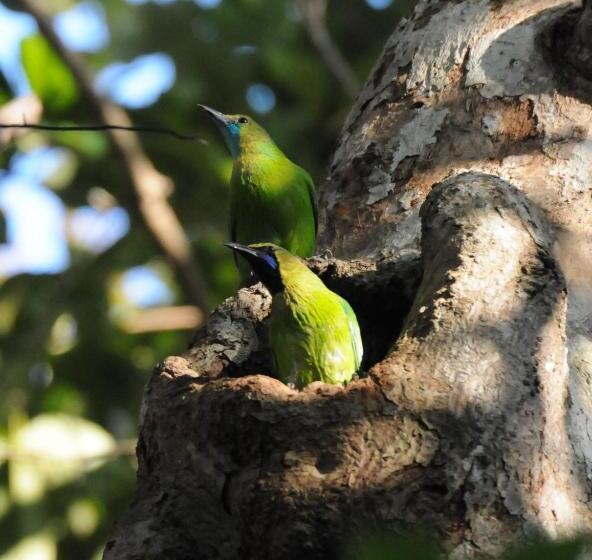 ガーデンビューの１ベッドルームビラ, Back Of Beyond   Wellness Retreat