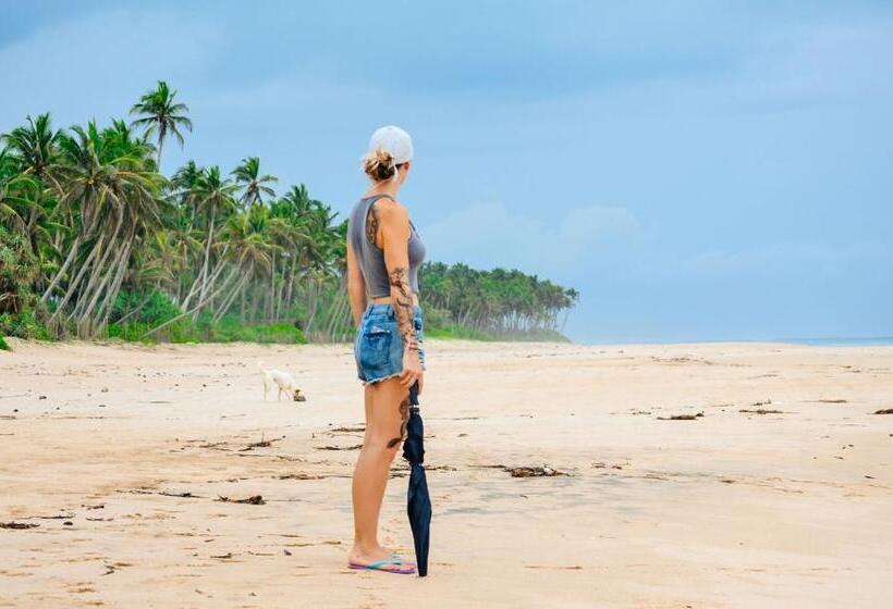 ガーデンビューの１ベッドルームビラ, Back Of Beyond   Wellness Retreat