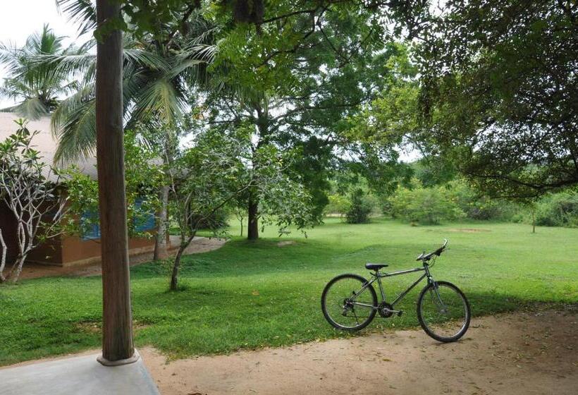 キャビン, Back Of Beyond   Wellness Retreat