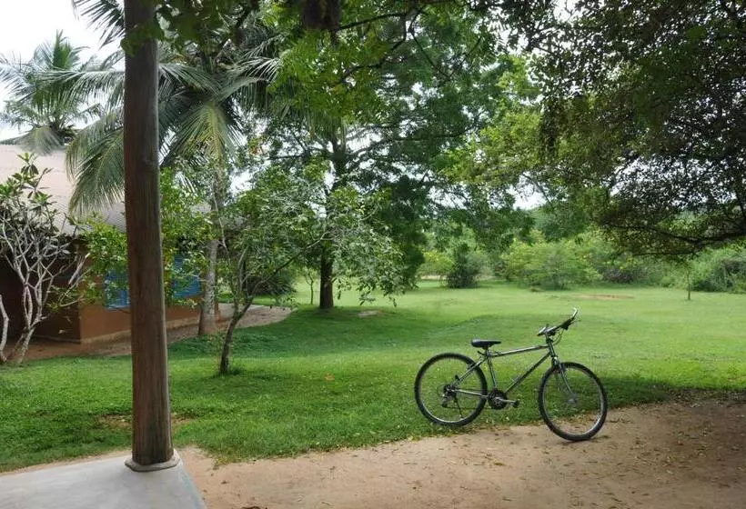キャビン, Back Of Beyond   Wellness Retreat