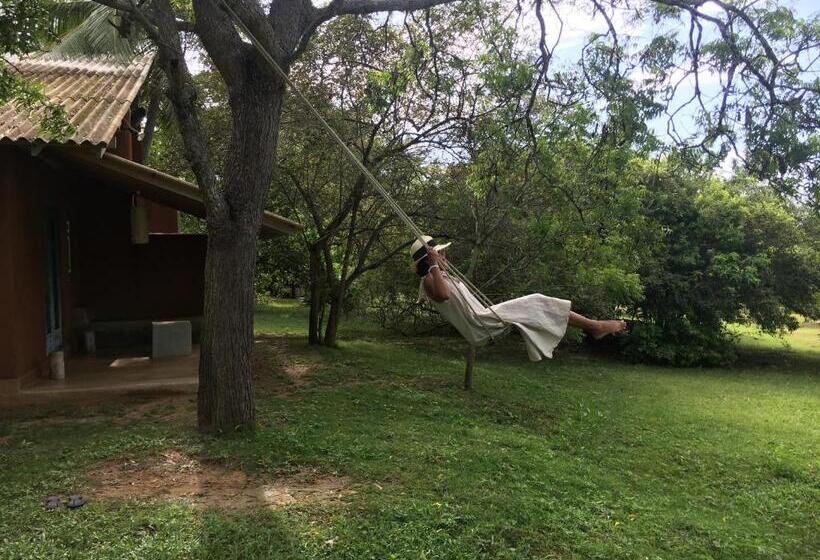 キャビン, Back Of Beyond   Wellness Retreat