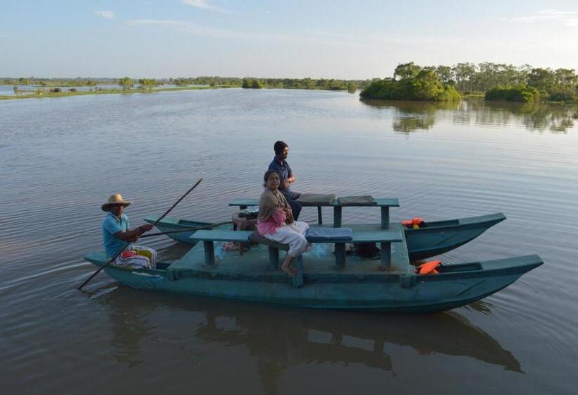 キャビン, Back Of Beyond   Wellness Retreat