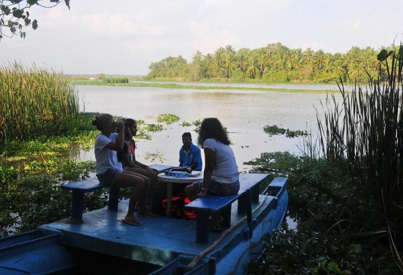 キャビン, Back Of Beyond   Wellness Retreat