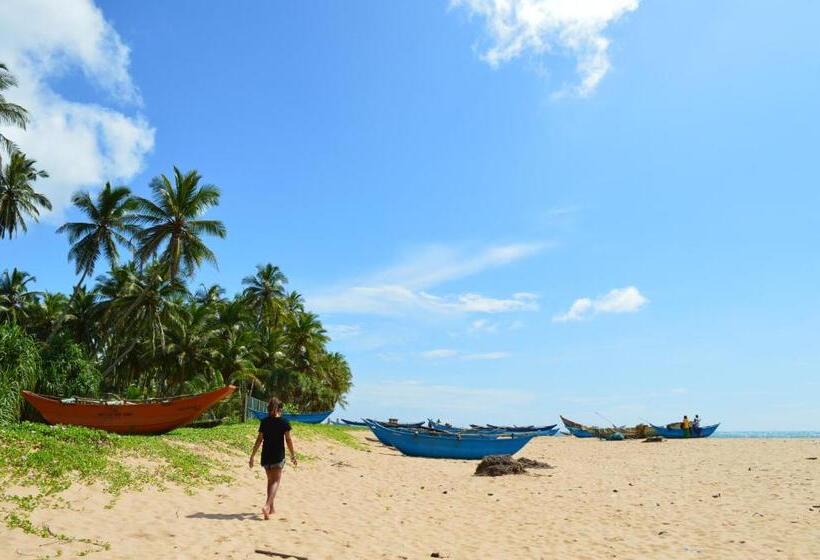 スタンダードバンガロー, Back Of Beyond   Wellness Retreat