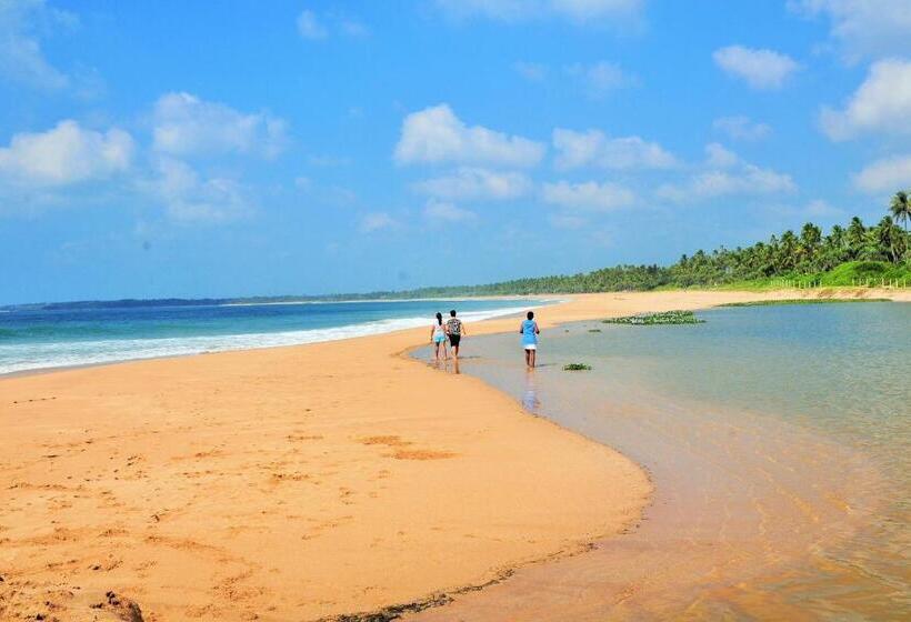 スタンダードバンガロー, Back Of Beyond   Wellness Retreat