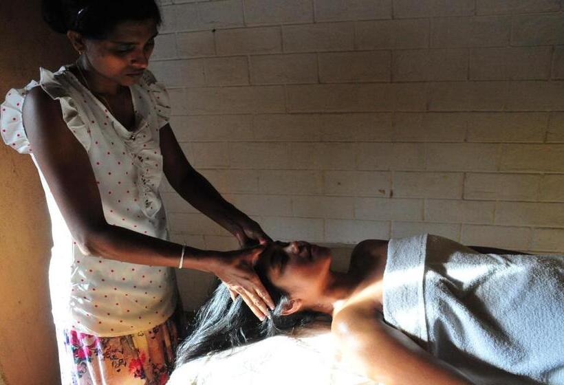 スタンダードバンガロー, Back Of Beyond   Wellness Retreat