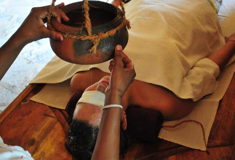 スタンダードバンガロー, Back Of Beyond   Wellness Retreat