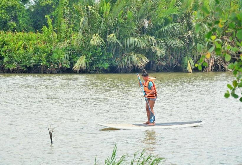 キャビン, Back Of Beyond   Wellness Retreat