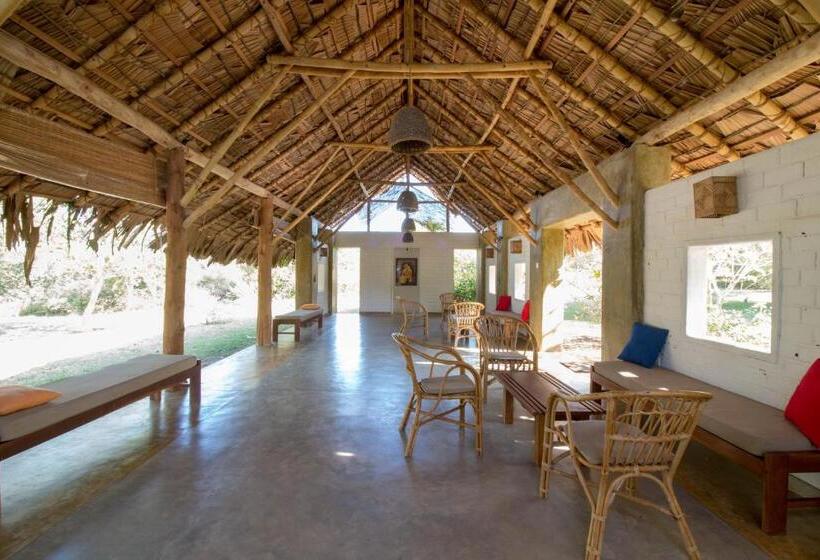 キャビン, Back Of Beyond   Wellness Retreat