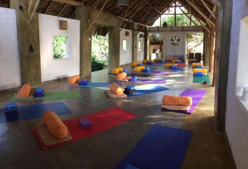 Хижина, Back Of Beyond   Wellness Retreat