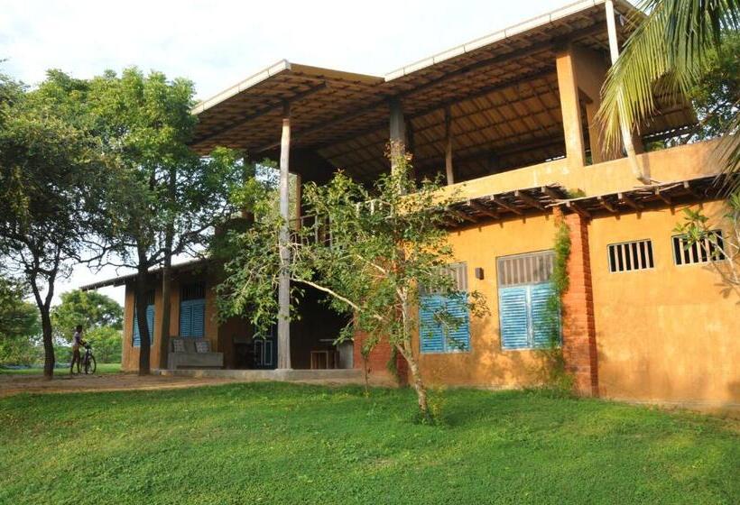 スタンダードバンガロー, Back Of Beyond   Wellness Retreat