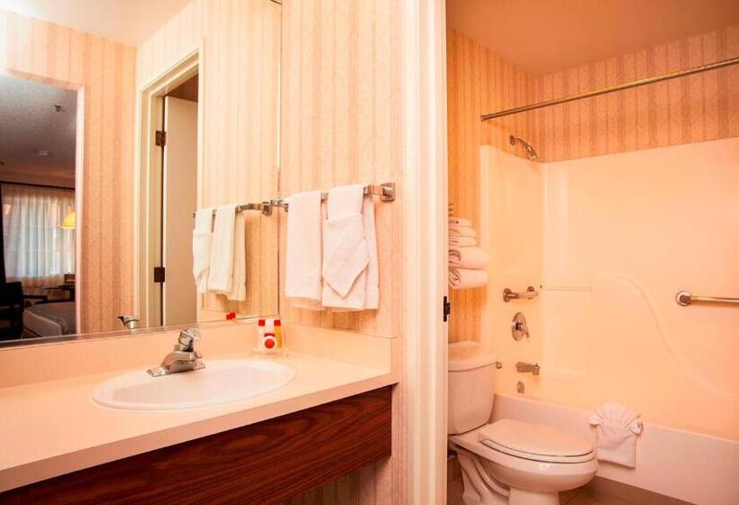 غرفة قياسية سرير كينج, Carson Valley Motor Lodge And Extended Stay