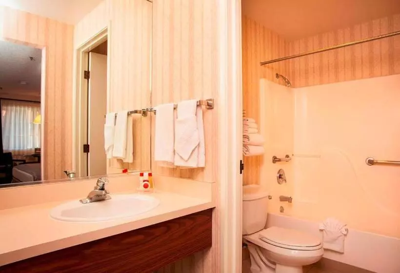 キングサイズベッドのスタンダードルーム, Carson Valley Motor Lodge And Extended Stay