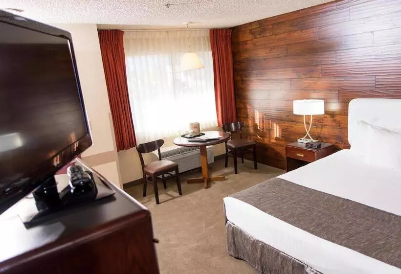 キングサイズベッドのスタンダードルーム, Carson Valley Motor Lodge And Extended Stay