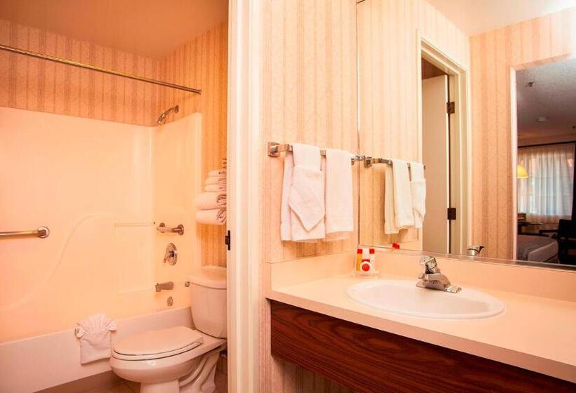 غرفة قياسية, Carson Valley Motor Lodge And Extended Stay