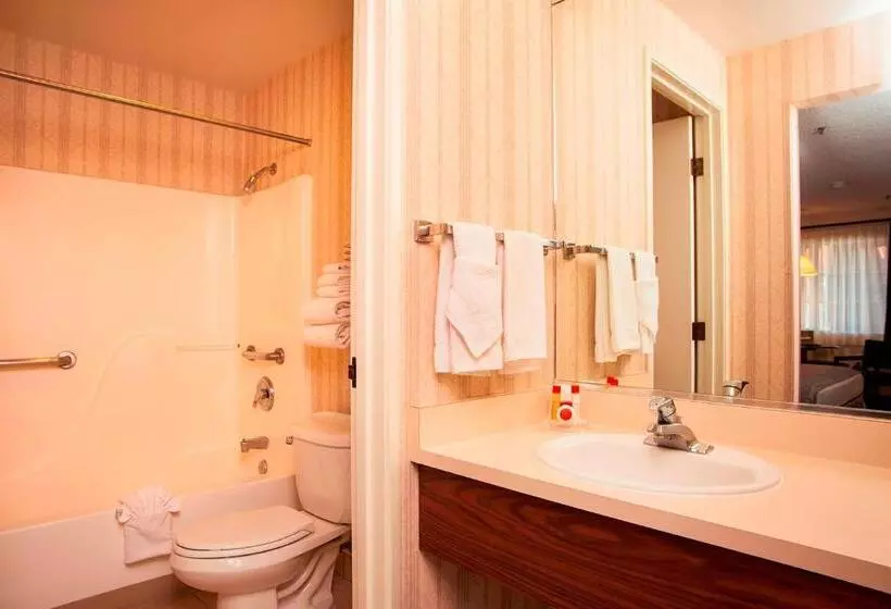 スタンダードルーム, Carson Valley Motor Lodge And Extended Stay