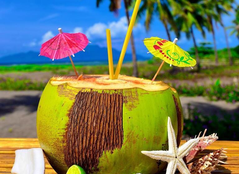 בקתה סטנדרטית עם נוף לים, Coconut Garden Beach Resort