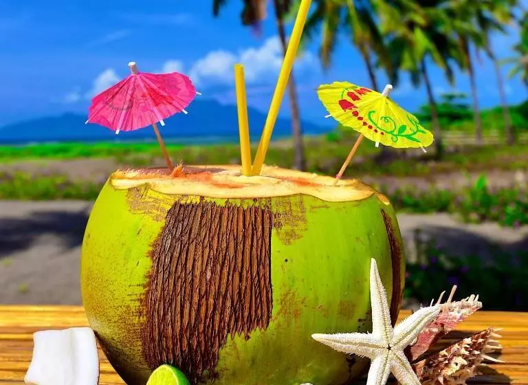 بانگلوی استاندارد با چشم‌انداز دریا, Coconut Garden Beach Resort