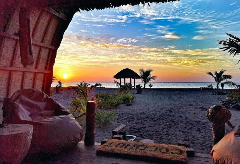 בונגלו משפחתי, Coconut Garden Beach Resort