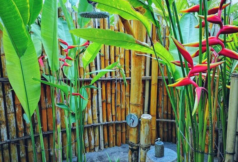 Бунгало Стандарт Вид на Море, Coconut Garden Beach Resort