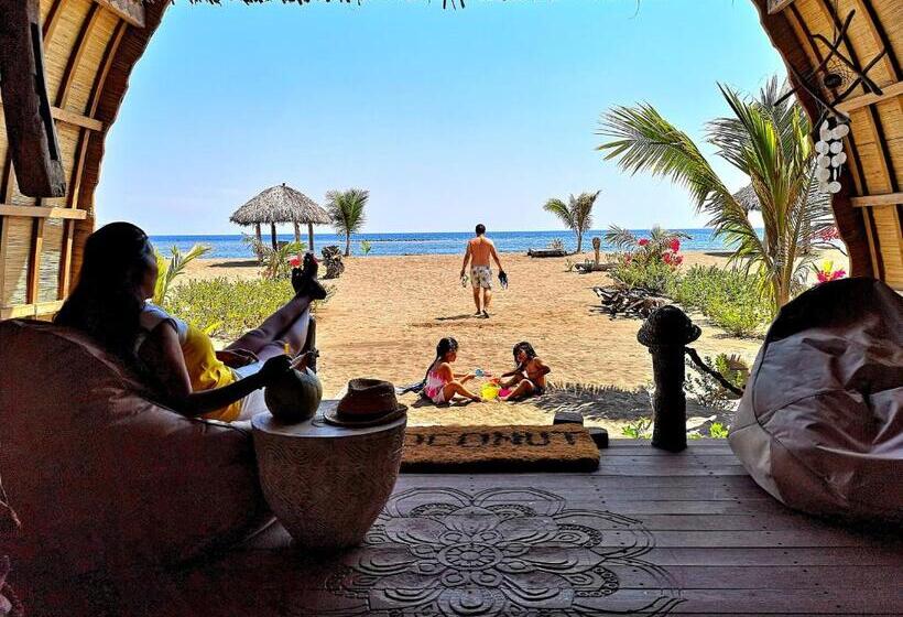 בונגלו משפחתי, Coconut Garden Beach Resort