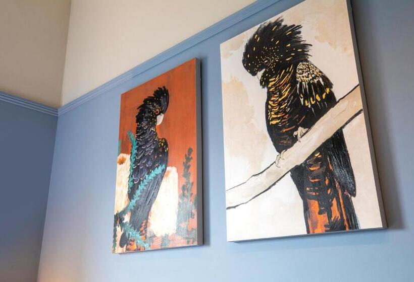 スタンダードスタジオ, Nightcap At Federal Hotel Mt Gambier