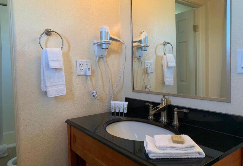 غرفة قياسية سرير كينج, Lajunta Inn