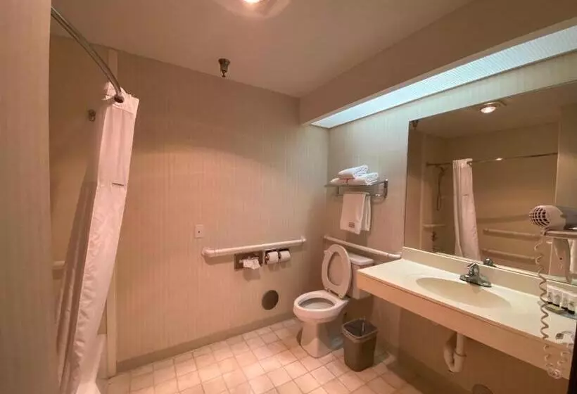 身障者適用ジュニアスイートルーム, Lajunta Inn