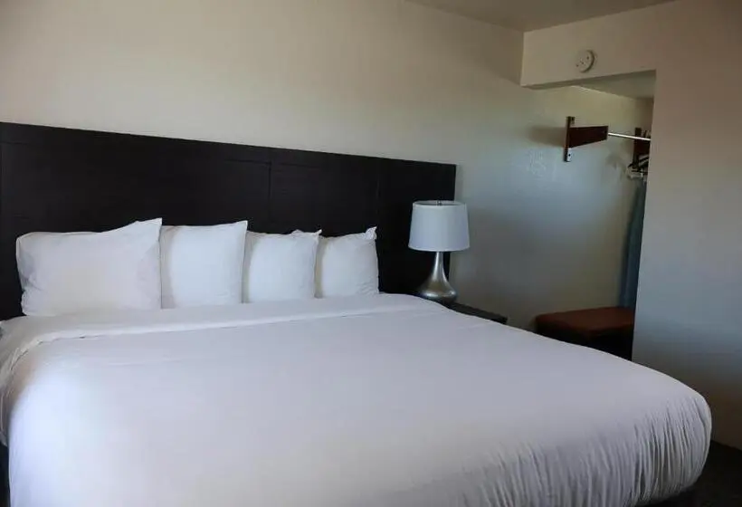 اتاق استاندارد با تخت بزرگ, Lajunta Inn