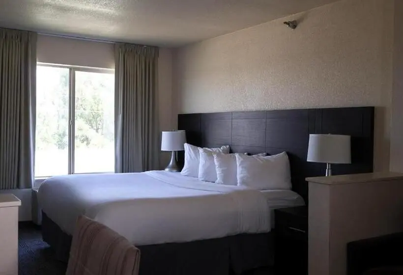 سوئیت جونیور برای معلولان, Lajunta Inn