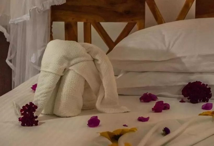 オーシャンビューデラックスルーム, Nature Lanka Ayurveda Resort