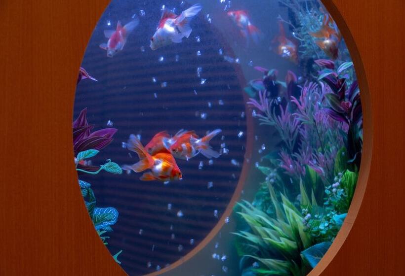 Номер Executive, & Spa Lotus