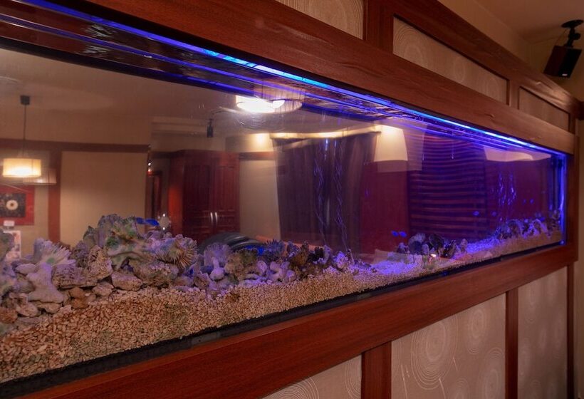 Номер Executive, & Spa Lotus