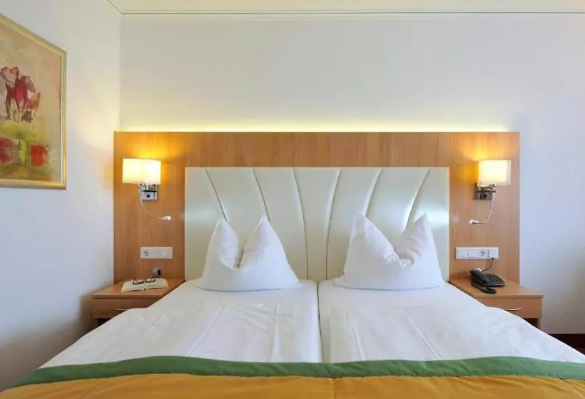 اتاق استاندارد یک نفره, Johannesbad Thermalhotel Ludwig Thoma