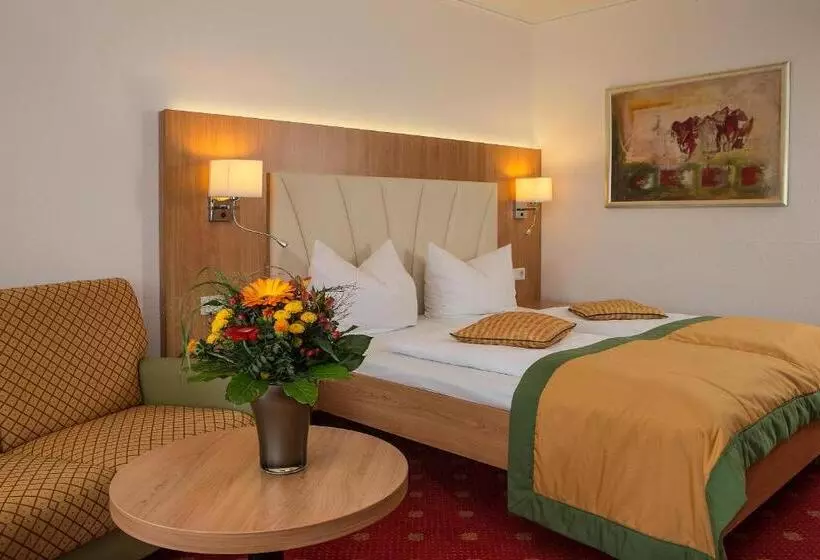 اتاق استاندارد یک نفره, Johannesbad Thermalhotel Ludwig Thoma