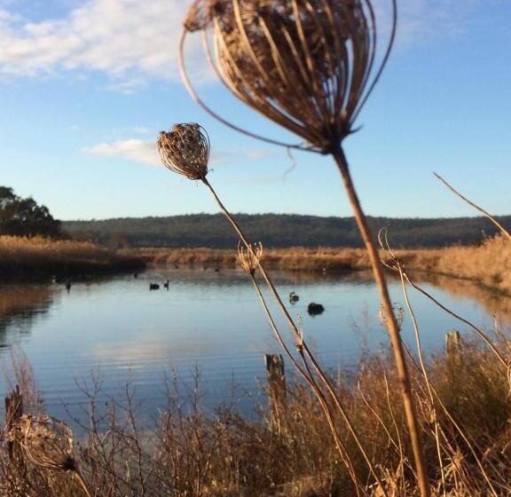 חדר סטנדרט, Idlewilde Country & Town Motorinn