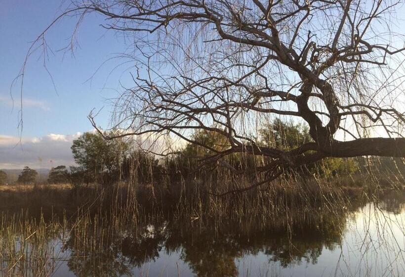 חדר סטנדרט, Idlewilde Country & Town Motorinn