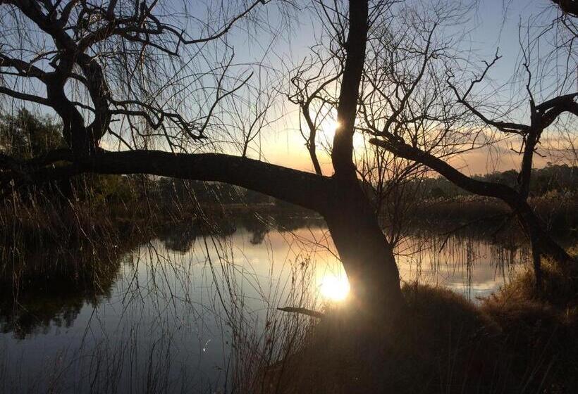 חדר סטנדרט, Idlewilde Country & Town Motorinn