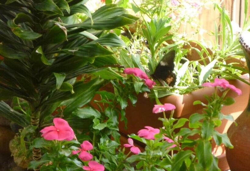 اتاق استاندارد چهارنفره با بالکن, La Escalinata