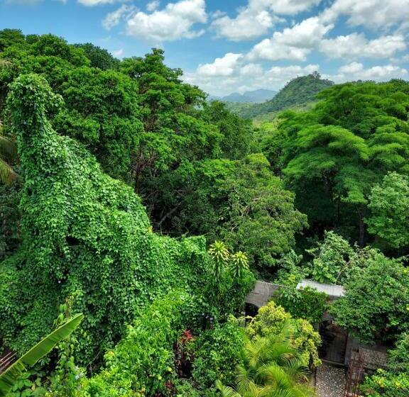 اتاق استاندارد, La Escalinata