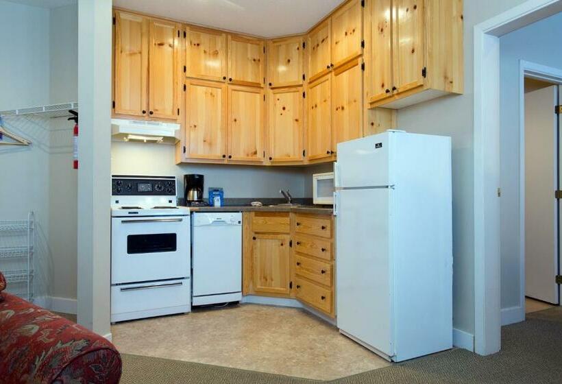 带1个卧室的公寓, Vance Creek Hotel & Conference Centre