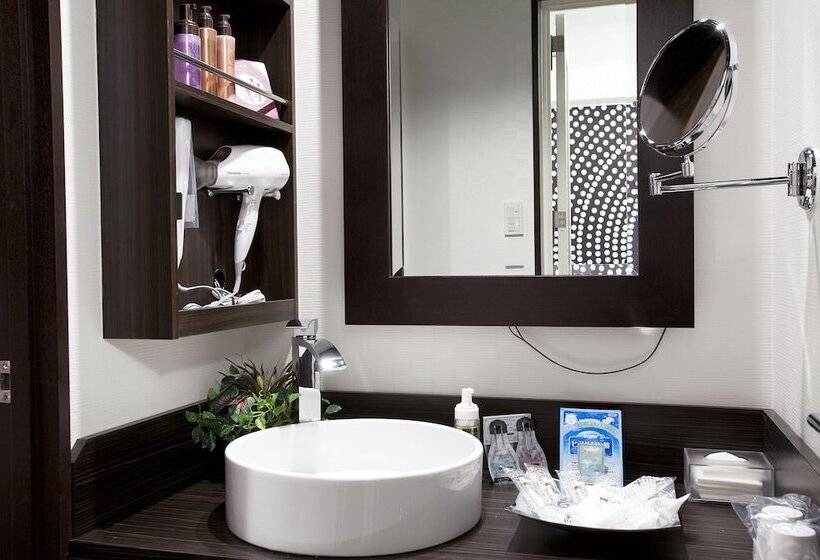 اتاق استاندارد, Alfa Kyoto