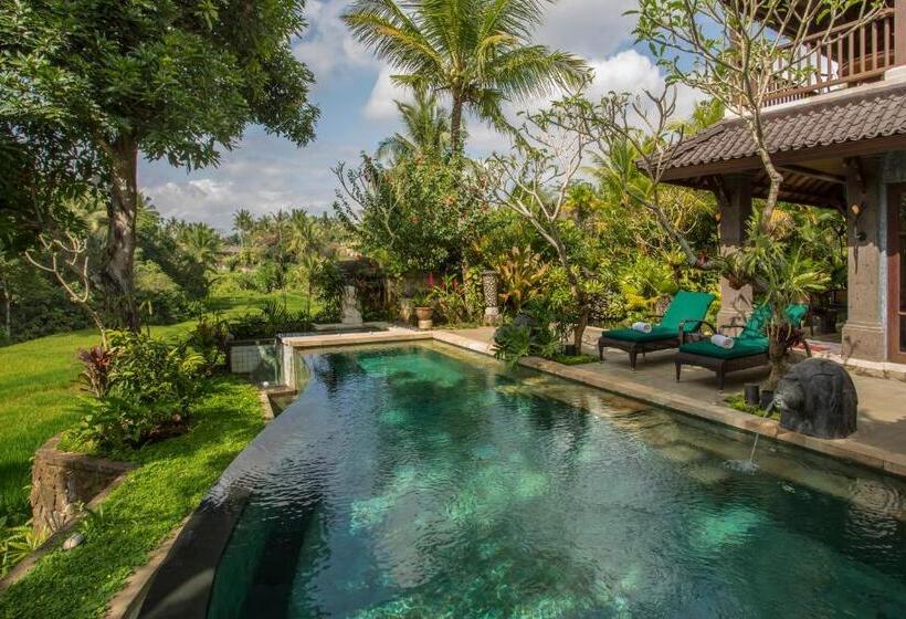 套房, Dwaraka The Royal Villas