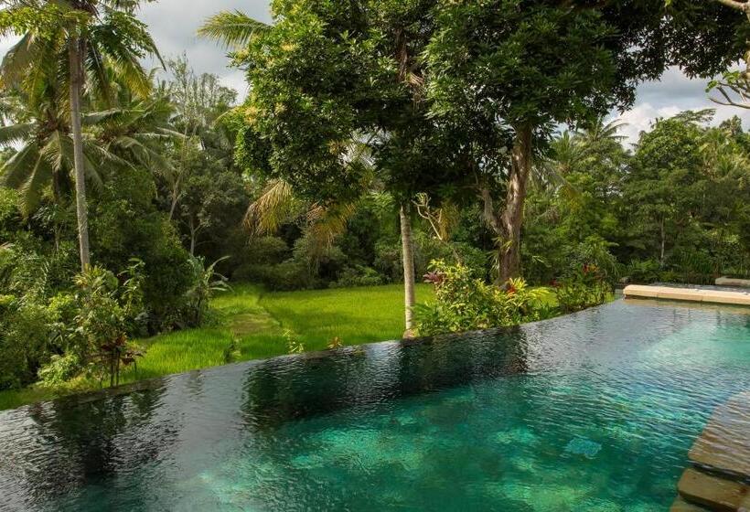Люкс, Dwaraka The Royal Villas