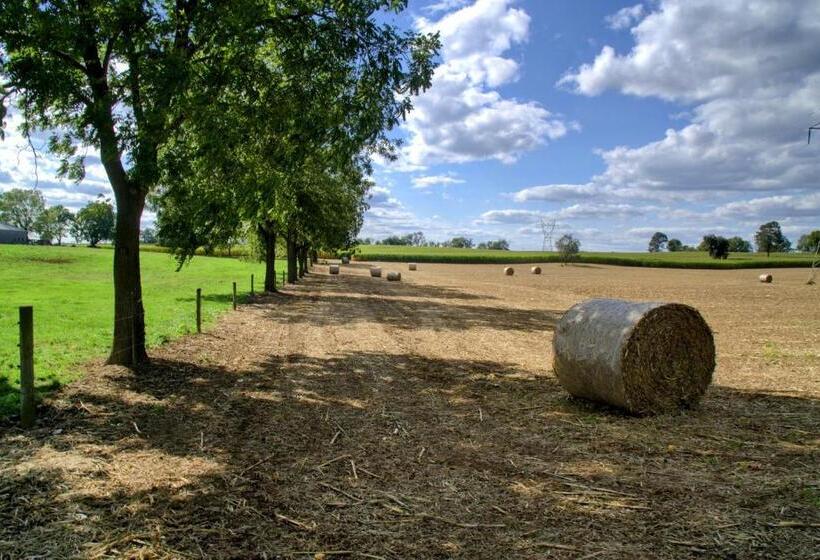 غرفة قياسية, Cameron Estate Inn & Restaurant