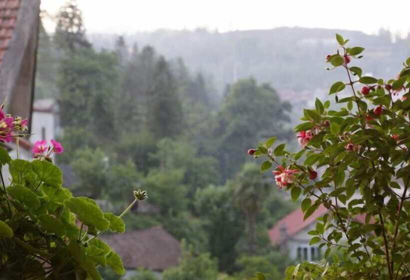 اتاق خانوادگی, Sapa Local House