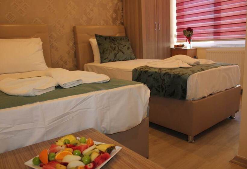 اتاق استاندارد, Gorur Suite