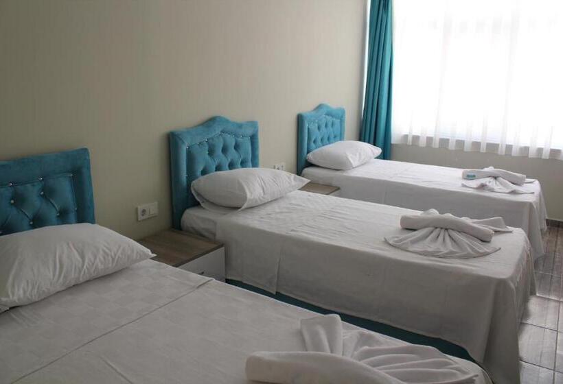 اتاق استاندارد سه نفره, Gorur Suite