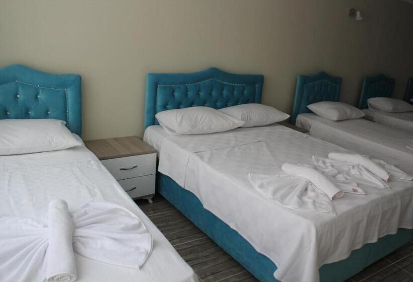 اتاق استاندارد چهار تخته, Gorur Suite